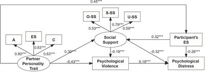 Association between intimate partner psychological violence and psychological distress among nurses: The role of personality traits and social support